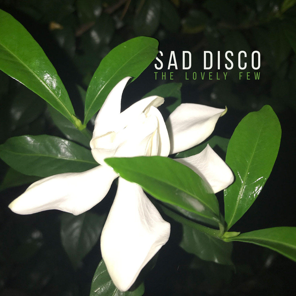sad disco.jpg